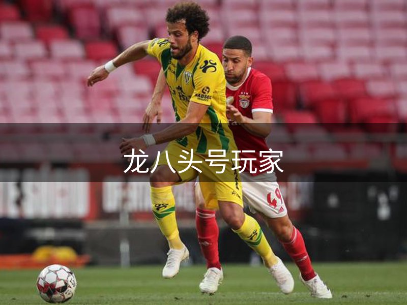 龙八头号玩家介绍